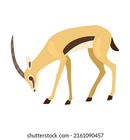 Antelope cartoon illustration. African goitered gazelle or impala with long horns running, jumping and butting on white background. Animal, wildlife