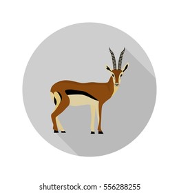 Antelope color flat icon for web and mobile design