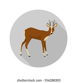 Antelope color flat icon for web and mobile design