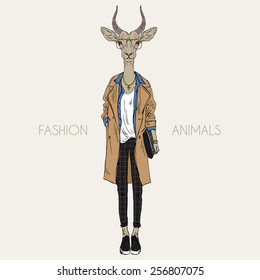 antelope dressed up in modern style, city look