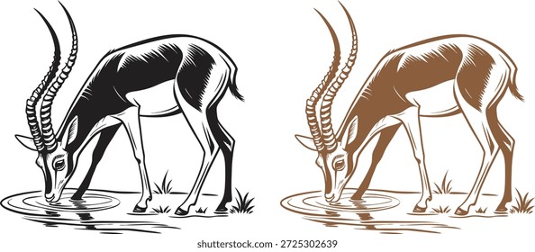 Antelope drinking water vector illustration in black and brown color variations. Elegant wild deer with long horns, wildlife line art design, nature animal artwork isolated on white background.