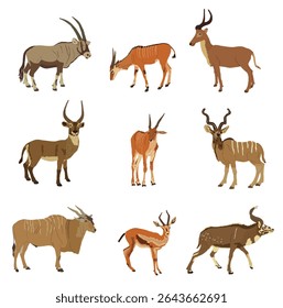 Antílope e gazela definem ilustração vetorial isolada. Oryx, Eland, Impala, Waterbuck, Kudu, Dorcas, Nyala. Veado africano. Troféu de caça Safari África. Poderosas galhadas buck chifres animais herbívoros.