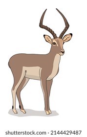 Antelope gazelle of wild animal living in nature with a print texture of the skin. Vector illustration