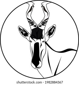 antelope hartebeest bull vector head 