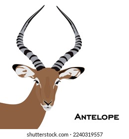 Antelope head in flat style, vector illustration isolated on white background. Muzzle of herbivore African animal. Antelope vector illustration