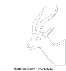 antelope  head , vector illustration,lining draw,profile side
