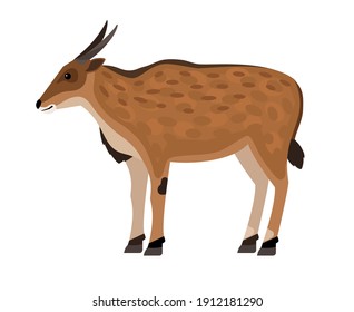 Antelope with horns. Cartoon African exotic character of zoo, symbol of hunting trophy, hoofed beast of wildlife, vector illustration of eland isolated on white background