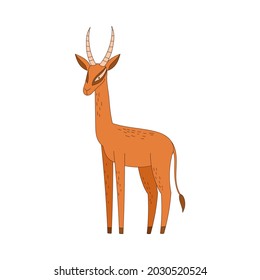 Antelope with Horns in Standing Pose Vector Illustration