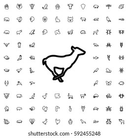 antelope icon illustration isolated vector sign symbol. Animals icons vector set.