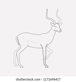 Antelope icon line element. Vector illustration of antelope icon line isolated on clean background for your web mobile app logo design.