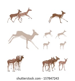 Antelope illustration set - design elements  
