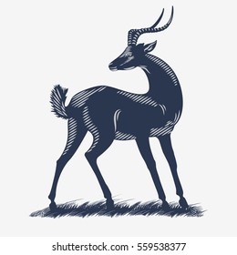Antelope Impala on the grass, in the blue color, illustration, vector
