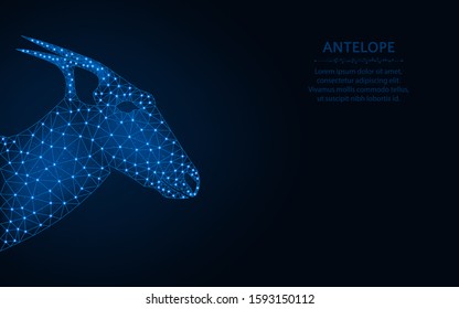 Antelope low poly design, animal wireframe mesh polygonal vector illustration made from points and lines on dark blue background