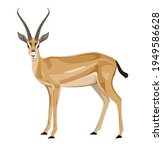 An antelope on a white background. Vector illustration.
