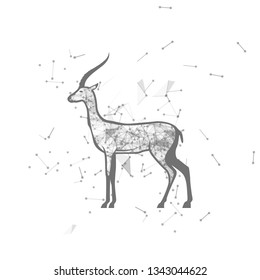 antelope.  Polygonal wireframe antelope silhouette. low poly vector illustrations on background of points and lines.