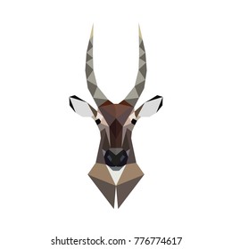 Antelope portrait. Polygonal style. Wild animal vector illustration.