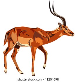 Antelope Series Impala.