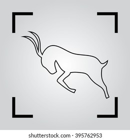 Antelope sign, antelope icon, antelope logo  vector illustration