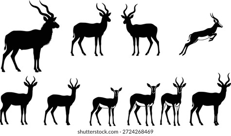 Conjunto de Vector de silueta de antílope, poses saltando y de pie, ilustración de vida silvestre con cuernos para naturaleza, desierto, bosque, contenido educativo y de diseño