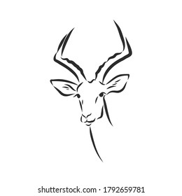 antelope sketch vector graphics black and white drawing