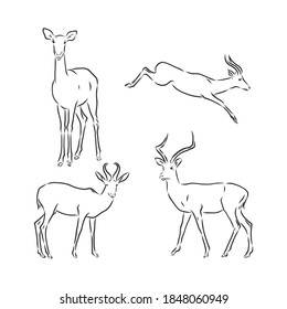 antelope sketch vector graphics black and white drawing. antelope vector sketch illustration