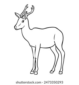 antelope sketch vector illustration,isolated on white background,top view
