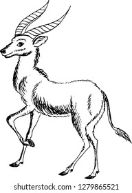 Antelope. Vector illustration.