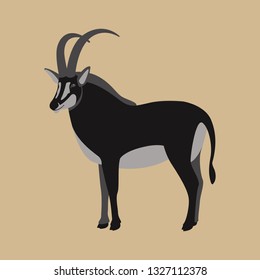 antelope vector illustration, flat style ,profile view