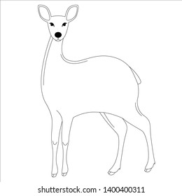 antelope , vector illustration, lining draw,front side