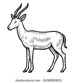 antelope vector realistic line icon on white background
Vector line icon animal, wildlife