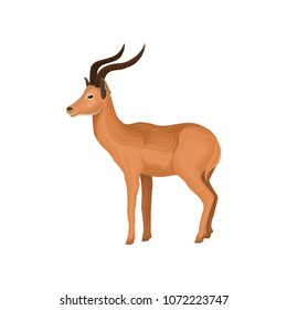 Antelope wild african animal vector Illustration on a white background