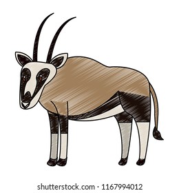 Antelope wild animal scribble