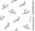 20+ Thousand Springbok Royalty-Free Images, Stock Photos & Pictures ...