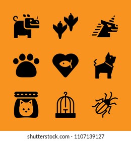 antenna, dry, object and nature icon set. Vector illustration for web and design.