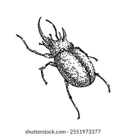 antennae besouro desenhado à mão. entomologia elytra, espécies da biodiversidade, habitat larvas antenas besouro esboço vetor. ilustração preta isolada