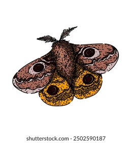 antennae night moth hand drawn. camouflage metamorphosis, lepidoptera scales, flutter crepuscular antennae night moth vector sketch. isolated color illustration