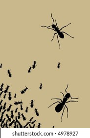 anthill