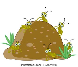 Anthill With Ant