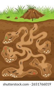 Um formigueiro. Formigas em tocas e passagens subterrâneas com o útero da rainha, larvas, fazem estoques, uma fatia da terra do formigueiro. Ilustração desenhada por vetor.