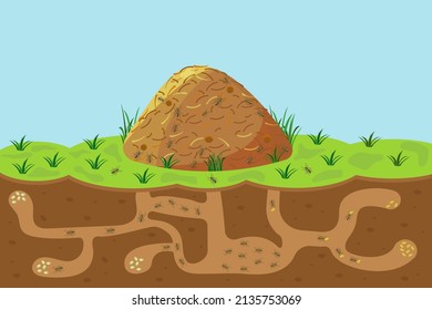 Anthill and holes   passages  sectional view underground  Vector cartoon hill and termites outside   inside  Concept joint organized work  Ant house 