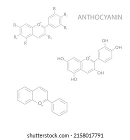 Anthocyanins Molecular Skeletal Chemical Formula.