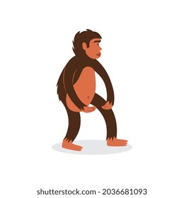 Anthropoid ape animal cartoon character, flat vector illustration isolated on white background. Monkey or gorilla primate image for human evolution or wildlife topic.