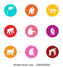 Anthropoid icons set. Flat set of 9 anthropoid vector icons for web isolated on white background