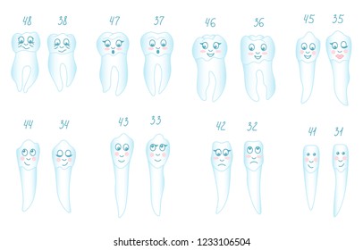 Anthropomorphic teeth emoji set vector icon illustration