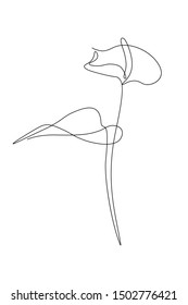 Anthurium flower in continuous line art drawing style. Minimalist black line sketch on white background. Vector illustration