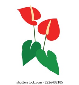 anthurium flower flat vector illustration logo icon clipart 