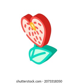 anthurium flower isometric icon vector. anthurium flower sign. isolated symbol illustration