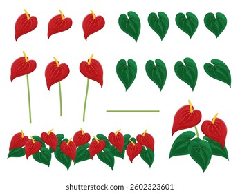 Anthurium flower and leaf illustration material set