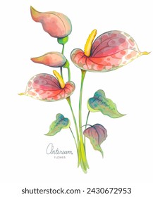 Anthurium flower on a white background with leaves and twigs. Pastel watercolor colors. An elegant festive flower. Postcard, fashionable print, vector.