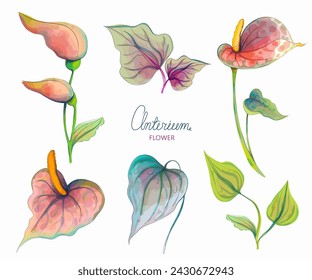 Anthurium flower set on a white background with leaves and twigs. Pastel watercolor colors. An elegant festive flower. Postcard, fashionable print, vector.